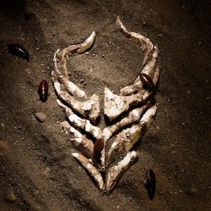Demon Hunter i'm done