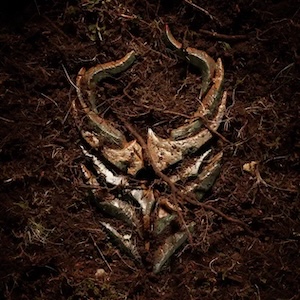 The Pain In Me Is Gone by Demon Hunter