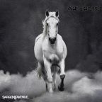 White Horse by Sargent Avenue